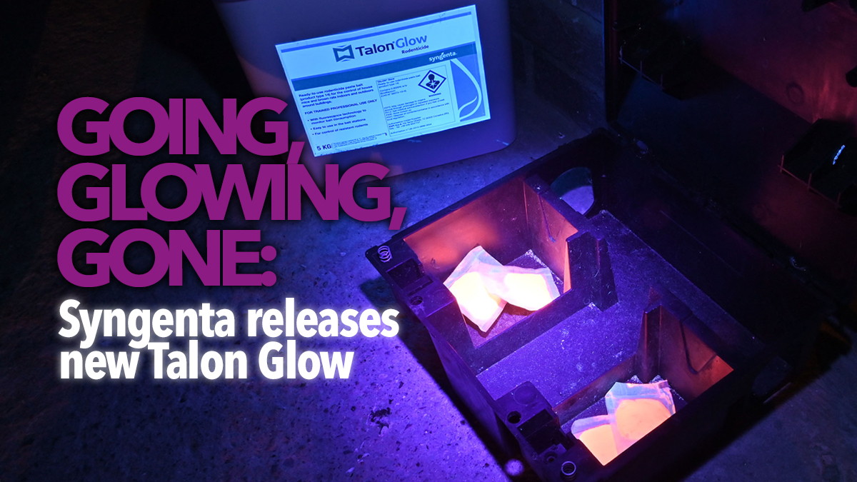 syngenta-new-talon-glow syngenta-new-talon-glow
